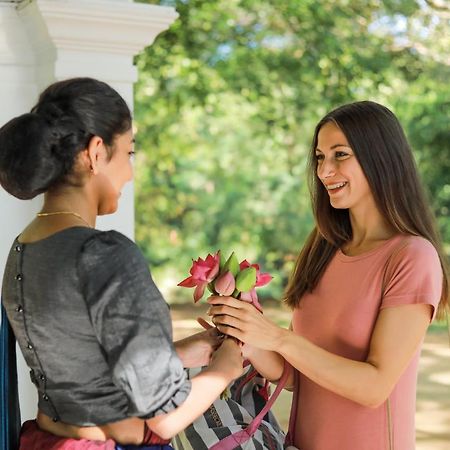 Grand Kalundawa - Dambulla'S Hidden Secret Hotel Ngoại thất bức ảnh